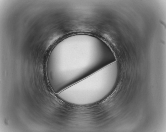 X0000099321307200805020744