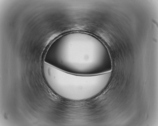 X0000099321308200805020745