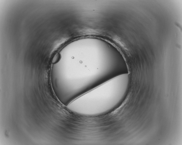 X0000099321309200805020745