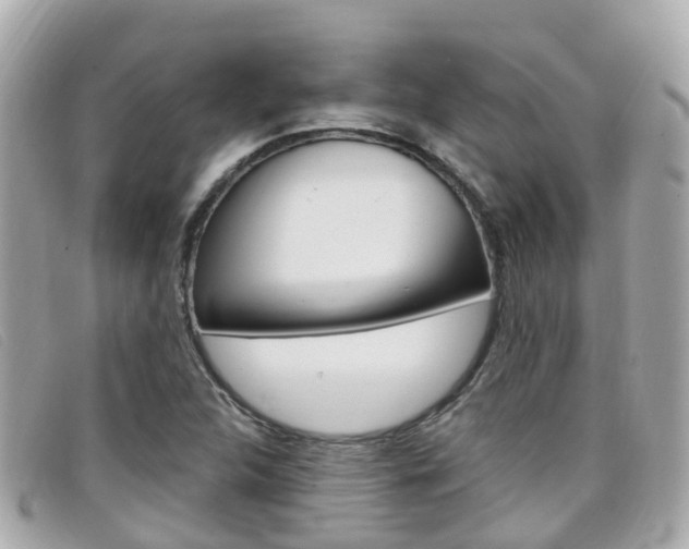 X0000099321312200805020745