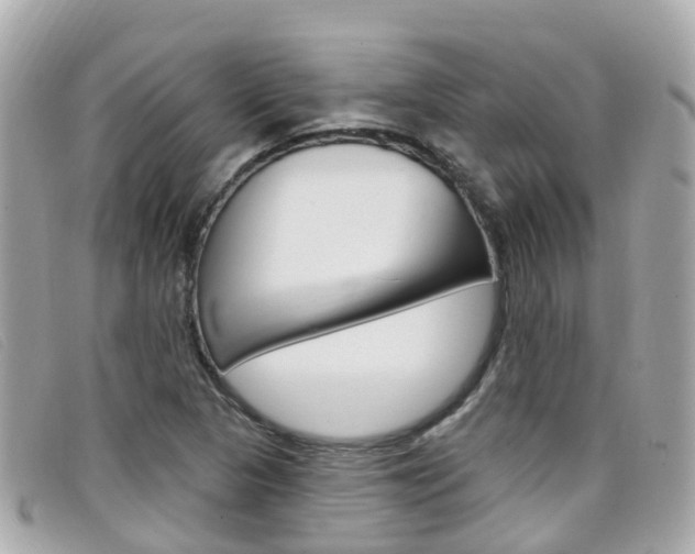 X0000099321313200805020745