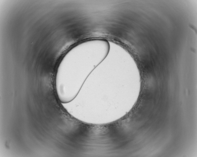 X0000099321314200805020745