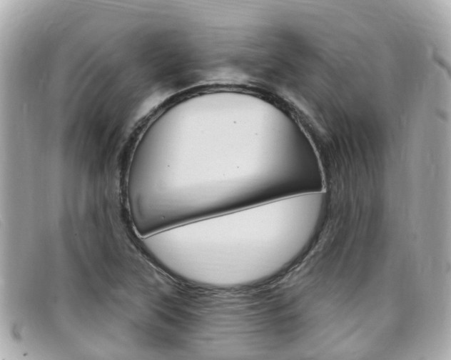 X0000099321315200805020745