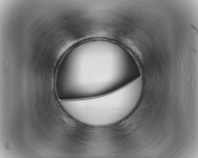 X0000099321316200805020745