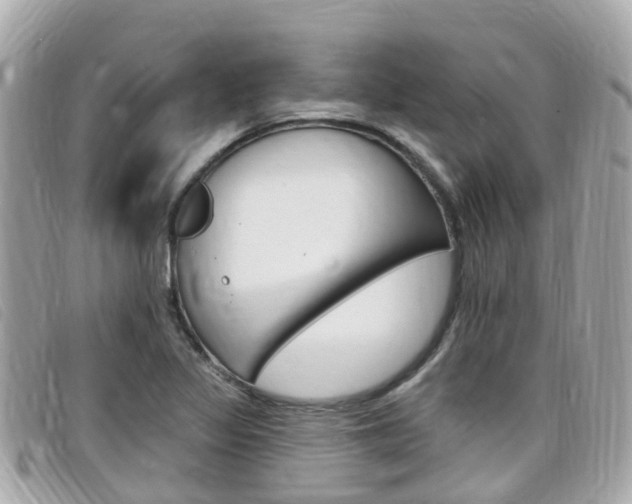 X0000099321317200805020745
