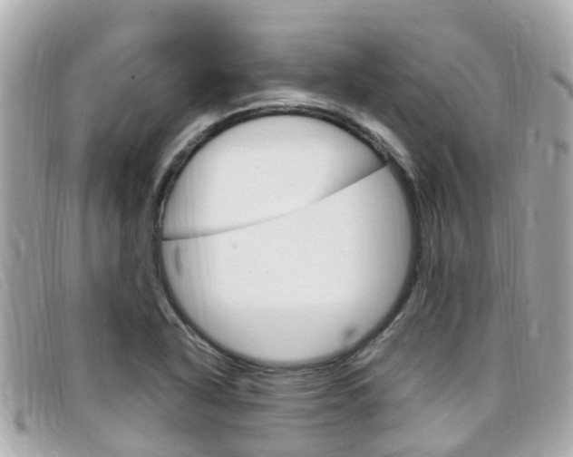 X0000099321318200805020745