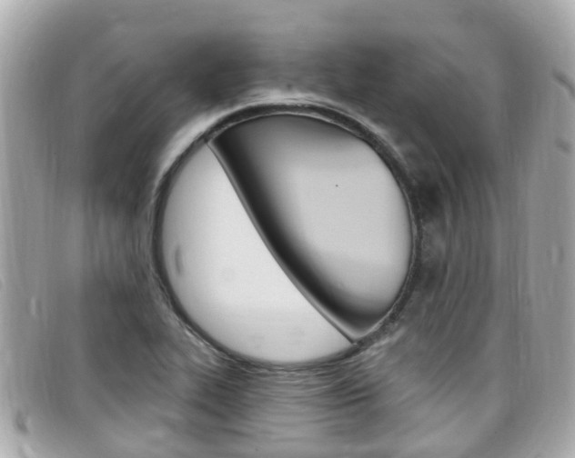 X0000099321319200805020745