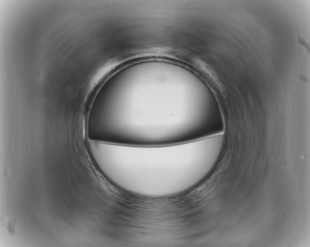 X0000099321320200805020745