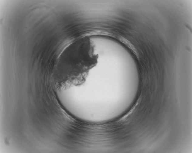 X0000099321321200805020745