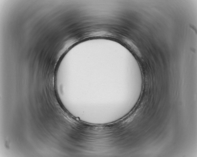 X0000099321322200805020745