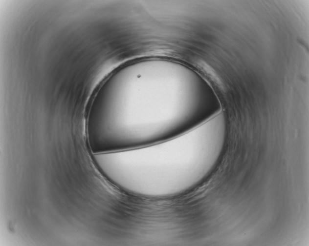 X0000099321324200805020745