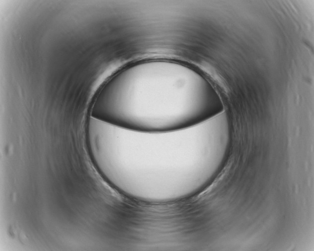 X0000099321325200805020745