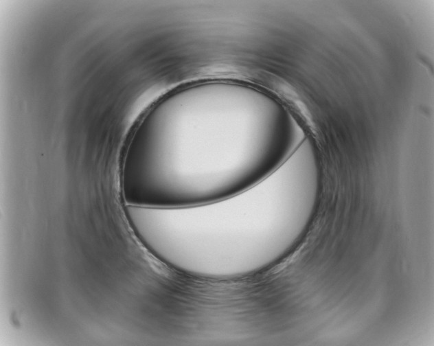 X0000099321328200805020745