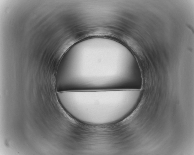 X0000099321329200805020745