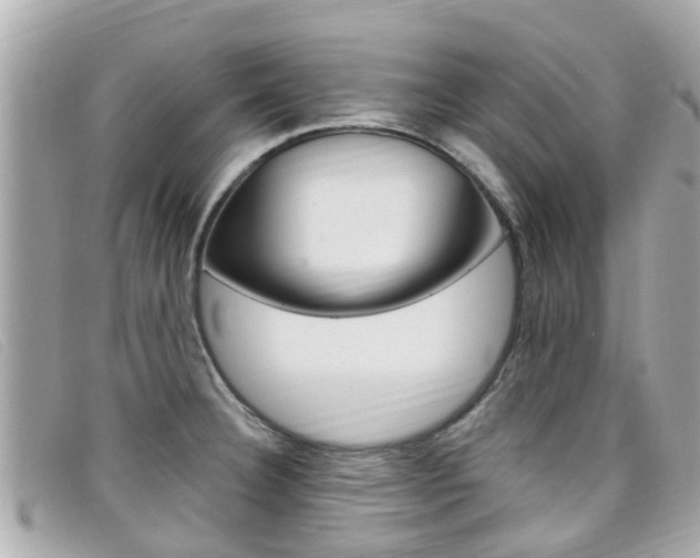 X0000099321332200805020745