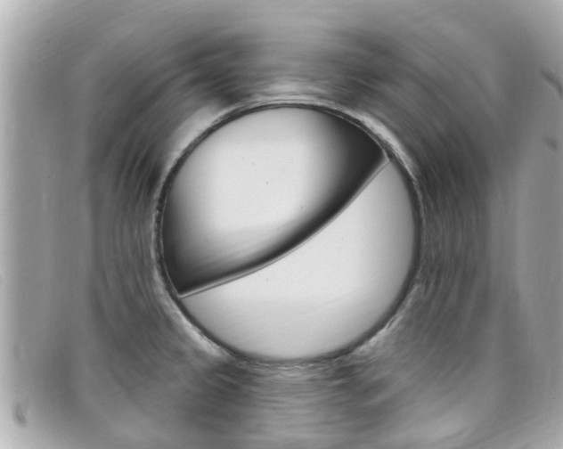 X0000099321333200805020745
