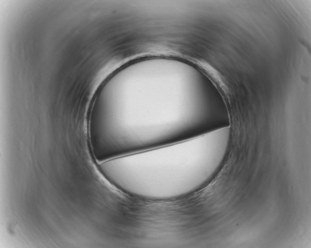 X0000099321335200805020745