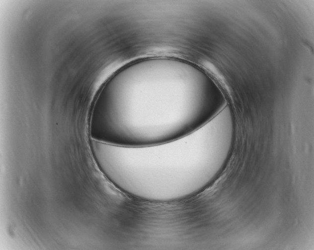 X0000099321336200805020745
