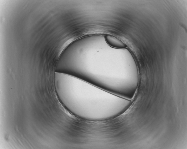 X0000099321337200805020745