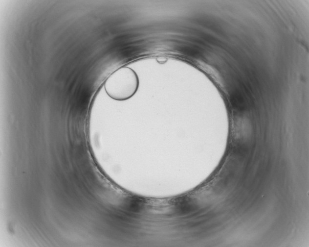 X0000099321338200805020745