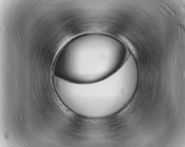 X0000099321340200805020745