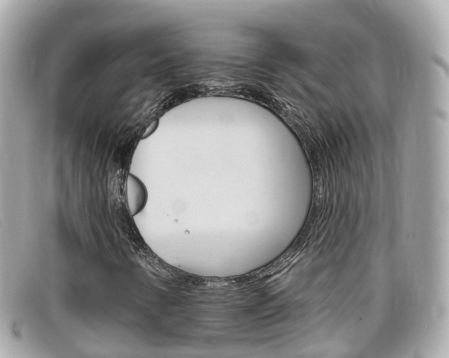 X0000099321346200805020744