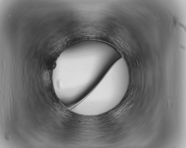 X0000099321347200805020744