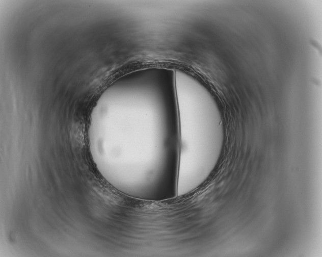 X0000099321348200805020744