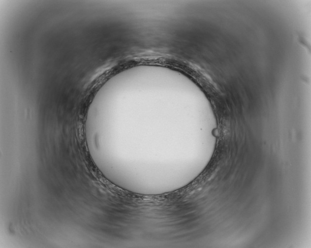 X0000099321350200805020744