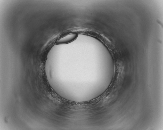 X0000099321351200805020744