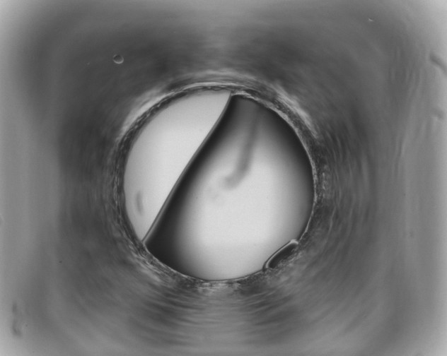 X0000099321352200805020744