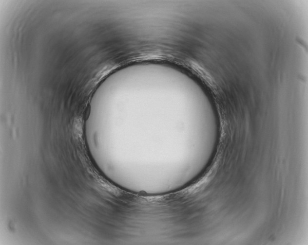 X0000099321353200805020744