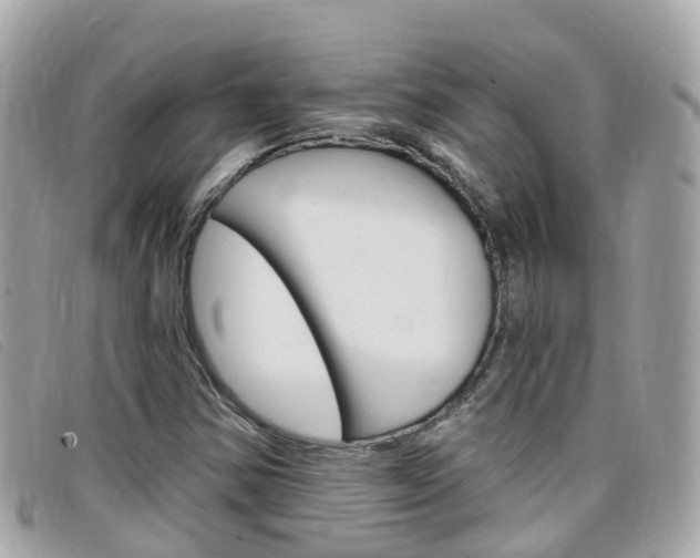 X0000099321354200805020744