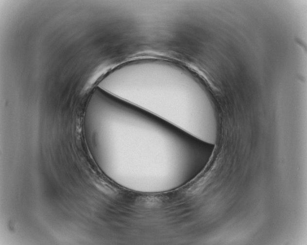 X0000099321355200805020744
