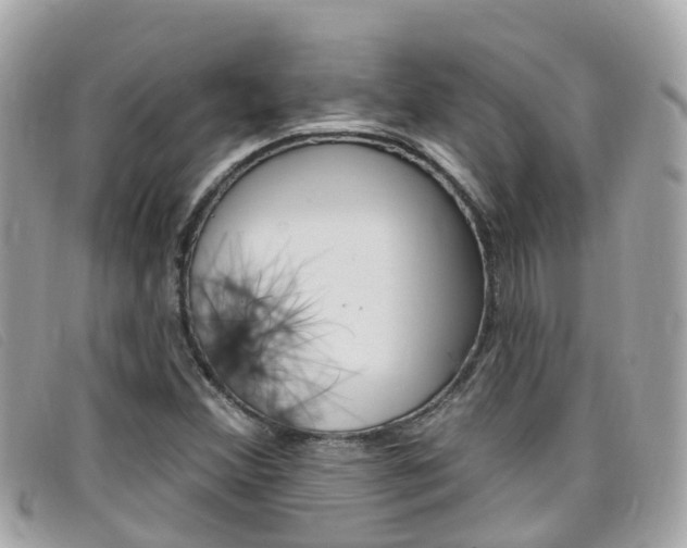 X0000099321356200805020744