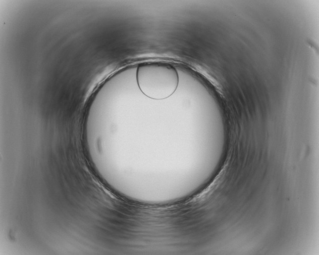 X0000099321357200805020744