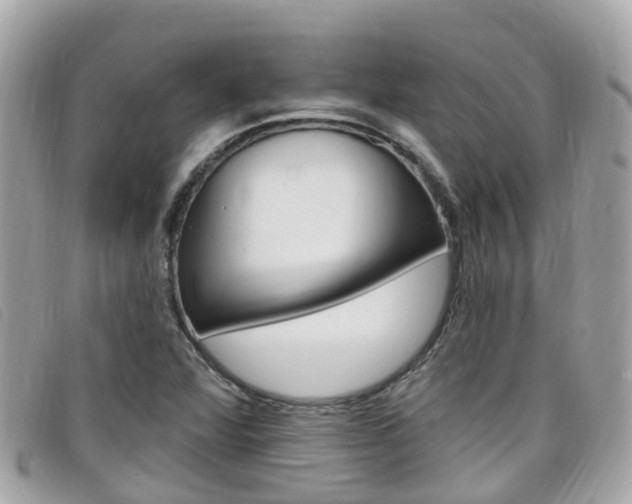 X0000099321360200805020744