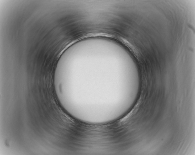 X0000099321361200805020744