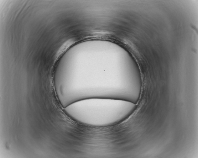 X0000099321362200805020744