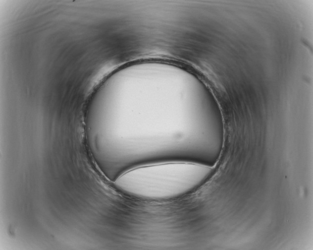 X0000099321363200805020744