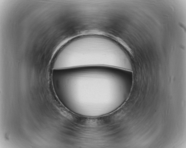 X0000099321364200805020744