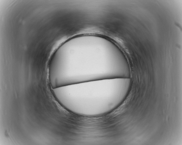 X0000099321366200805020744