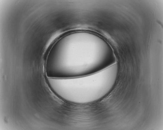 X0000099321368200805020744
