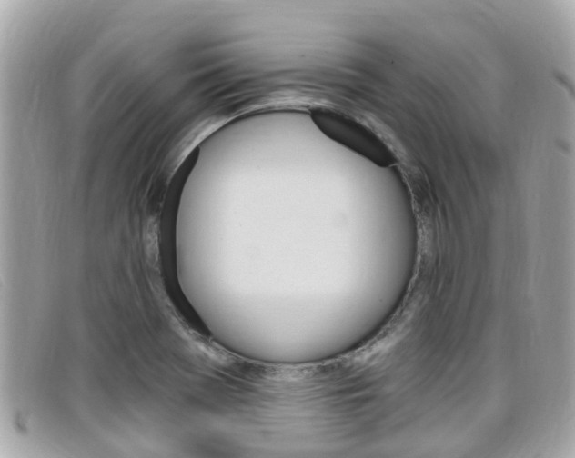X0000099321369200805020744