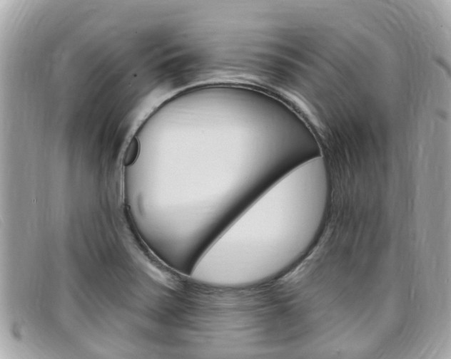 X0000099321371200805020744