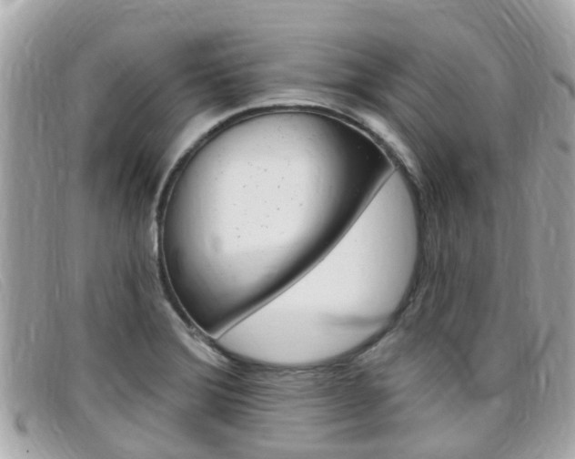 X0000099321372200805020744