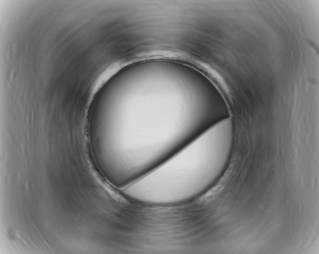 X0000099321373200805020744