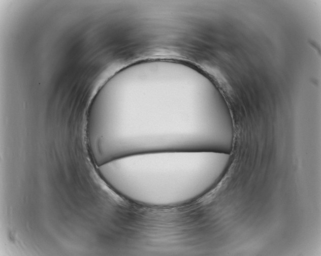 X0000099321374200805020744