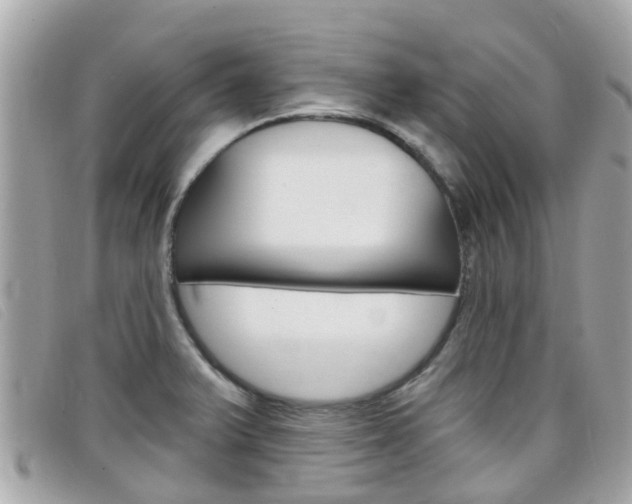 X0000099321375200805020744