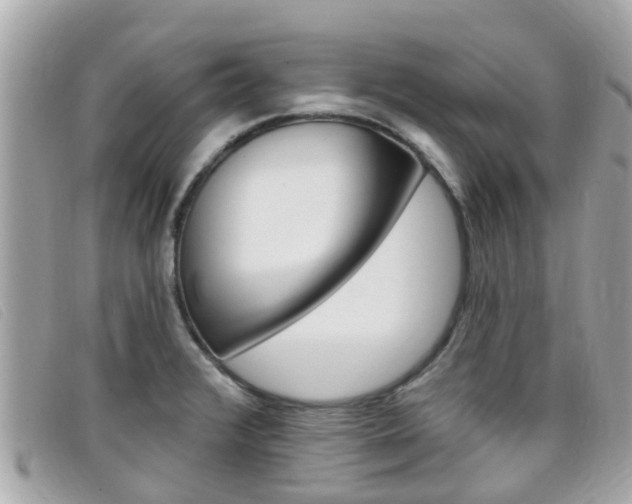 X0000099321376200805020744